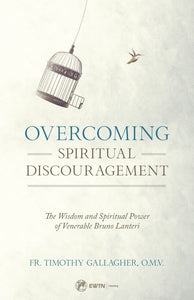 Overcoming Spiritual Discouragement The Wisdom and Spiritual Power of Venerable Bruno Lanteri