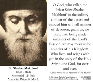 St. Sharbel Makhlouf (Charbel) Prayer Card