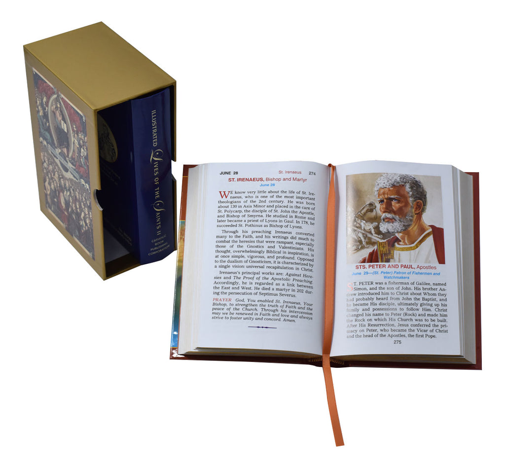 Illustrated Lives Of The Saints Boxed Set – Catholic Book & Gift Store