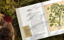 St. Hildegard’s Garden: Recipes and Remedies for Healing Body and Soul