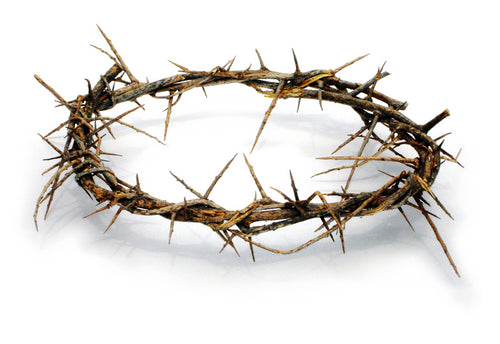 Crown of Thorns