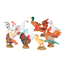 Barnyard Birds Set - Fontanini Collection