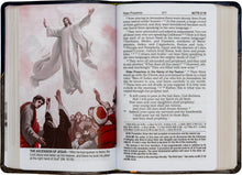 St. Joseph New Catholic Bible New Testament and Psalms