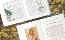 Herbs that Heal: (Catholic) Home Remedies to Forage and Grow