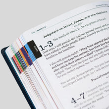 The Great Adventure Catholic Bible for Young Beginners