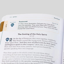 The Great Adventure Catholic Bible for Young Beginners