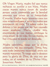 Spanish - Our Lady Undoer of Knots Prayer Card