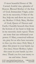 Our Lady of Mt. Carmel Prayer Card
