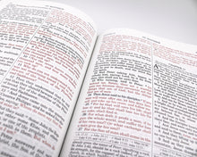 Douay-Rheims Bible (Leather)
