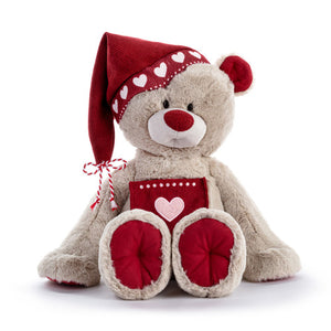 The Holiday Kindness Bear