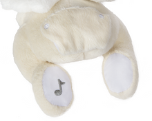 Sleepy Lamb