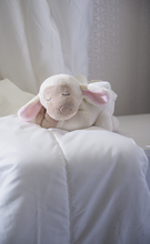 Sleepy Lamb