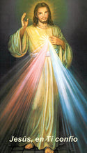Spanish - Divine Mercy Chaplet Prayer Card/La Coronilla De La Divina Misericordia