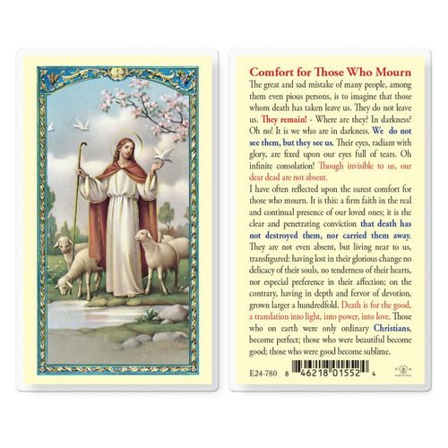 Comfort for Those Who Mourn Holy Card
