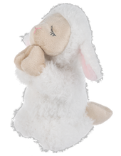 My Rosary Lamb (2 pc. set)