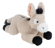 The Faithful Donkey