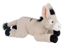 The Faithful Donkey