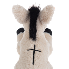 The Faithful Donkey