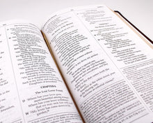 NABRE - New American Bible Revised Edition (Burgundy Deluxe Leatherette)