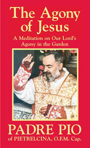 Agony of Jesus