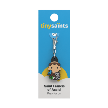 Saint Francis of Assisi Tiny Saints Charm