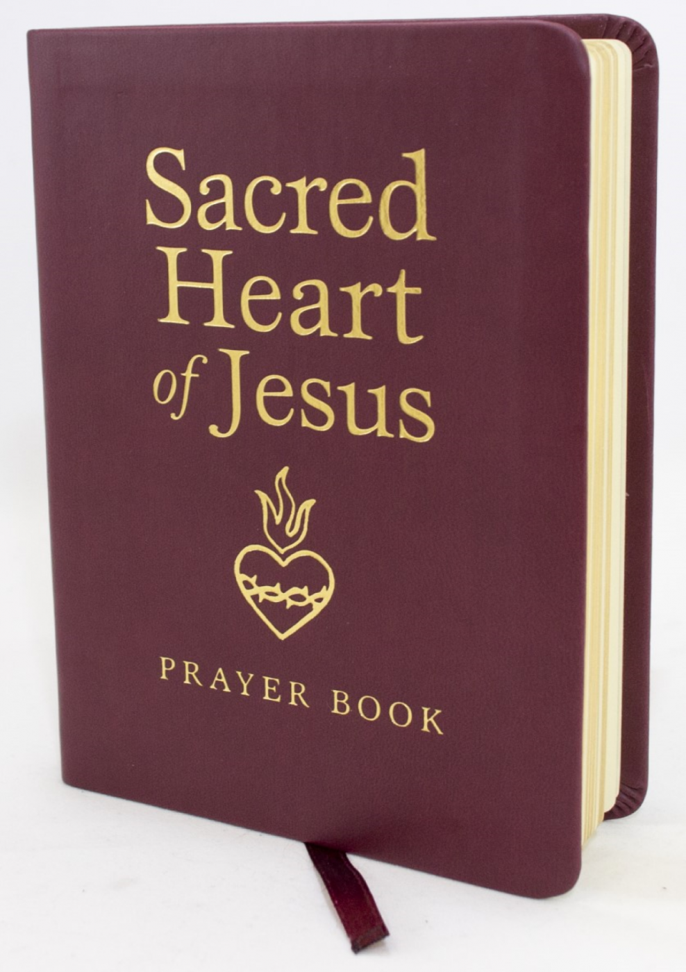 SACRED HEART OF JESUS PRAYER BOOK