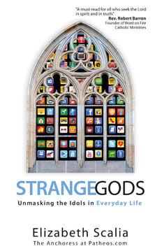 STRANGE GODS - 9781594713422 - Catholic Book & Gift Store 