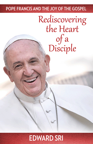 POPE FRANCIS AND THE JOY OF THE GOSPEL - 9781612788012 - Catholic Book & Gift Store 