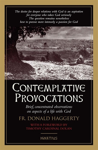 CONTEMPLATIVE PROVOCATIONS: BRIEF, CONCENTRATED OBSERVATIONS ON ASPECTS OF A LIFE WITH GOD