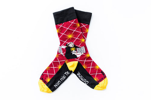 St. Thomas Aquinas Socks - Adult OSFM