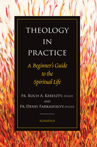 Theology in Practice: A Beginner's Guide to the Spiritual Life