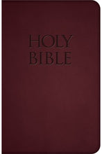 NABRE - New American Bible Revised Edition (Burgundy Deluxe Leatherette)